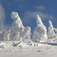 Illustration for article titled Snow monsters rise across Japan